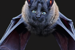 Confu-bat-5