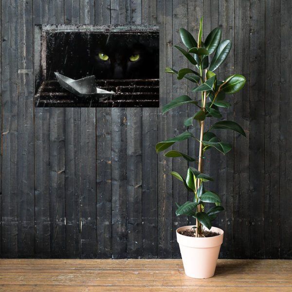 enhanced-matte-paper-poster-cm-61x91-cm-lifestyle-2-65ce819fd1c4e.jpg Poster