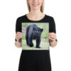 enhanced-matte-paper-poster-in-10x10-person-65ce7c26ebfe2.jpg "Cute smiling puma kitty" Poster