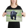 enhanced-matte-paper-poster-in-12x16-person-65ce7bec1ec38.jpg "Cute smiling puma kitty" wide Poster