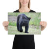 enhanced-matte-paper-poster-in-12x18-person-65ce7bec1ed09.jpg "Cute smiling puma kitty" wide Poster