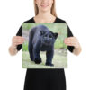 enhanced-matte-paper-poster-in-14x14-person-65ce7c26ec0bf.jpg "Cute smiling puma kitty" Poster