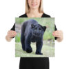 enhanced-matte-paper-poster-in-16x16-person-65ce7c26ec135.jpg "Cute smiling puma kitty" Poster