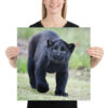 enhanced-matte-paper-poster-in-18x18-person-65ce7c26ec1a4.jpg "Cute smiling puma kitty" Poster