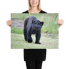 enhanced-matte-paper-poster-in-18x24-person-65ce7bec1de84.jpg "Cute smiling puma kitty" wide Poster