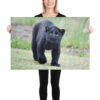 enhanced-matte-paper-poster-in-24x36-person-65ce7bec1efbd.jpg "Cute smiling puma kitty" wide Poster