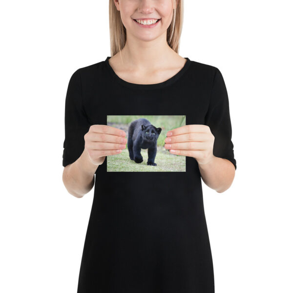 enhanced-matte-paper-poster-in-5x7-person-65ce7bec1f06b.jpg "Cute smiling puma kitty" wide Poster