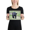 enhanced-matte-paper-poster-in-8x10-person-65ce7bec1f123.jpg "Cute smiling puma kitty" wide Poster