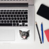 CNK "Evil Laugh" Bubble-free stickers