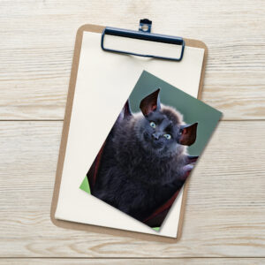 Batcat #2 Standard Postcard