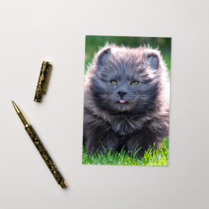 "Running Fluff" Standard Postcard