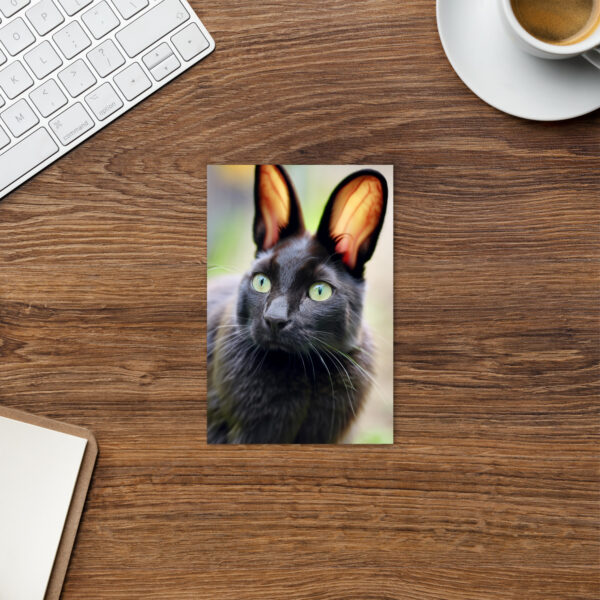 "Bunny Kitty" Standard Postcard
