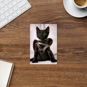 "Ninja Kitty" Standard Postcard
