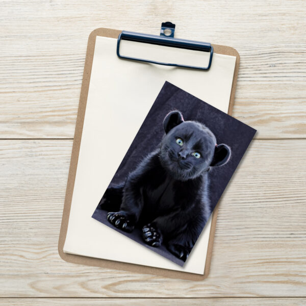 "Baby puma kitty sitting" Standard Postcard