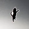 CNK "Cattitude" Magnet