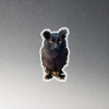 Owl Kitty 1 Magnet CNK "Owl Kitty" Magnet