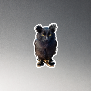 CNK "Owl Kitty" Magnet