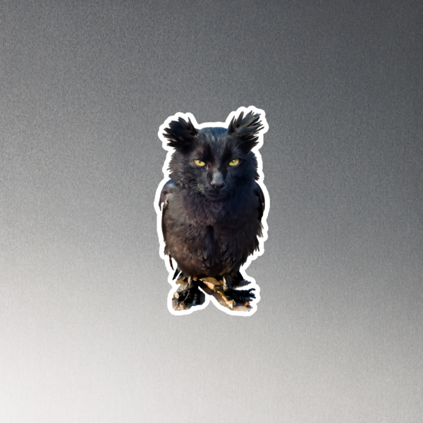 Owl Kitty 1 Magnet CNK "Owl Kitty" Magnet