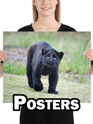CNK "I live with a Minipanther" Enamel Mug
