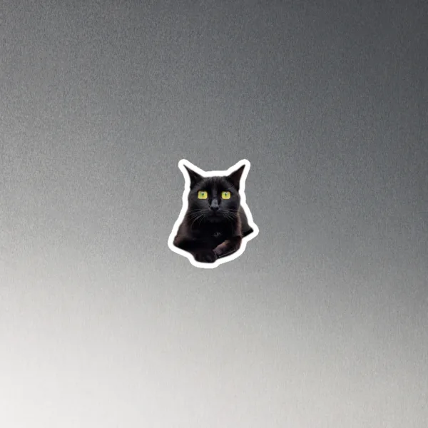 CNK "Square eyes" Magnet