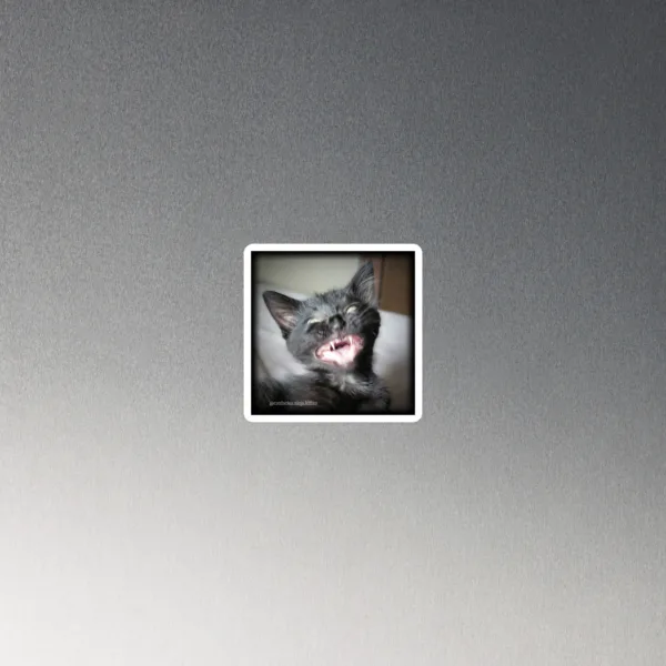 CNK "Evil Laugh 2" Magnet