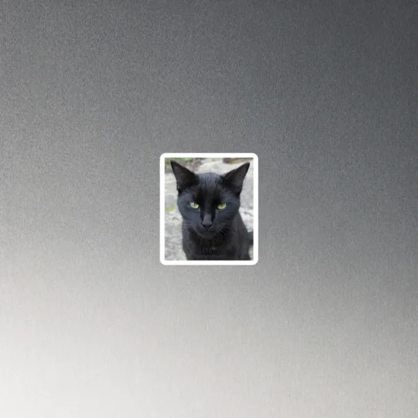 CNK "Deep Gaze" Magnet