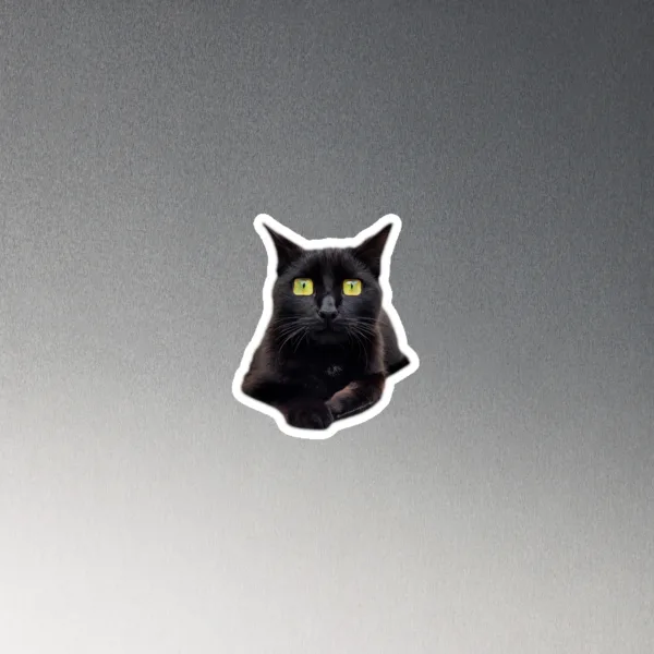 CNK "Square eyes" Magnet