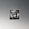 CNK "Evil Laugh 2" Magnet