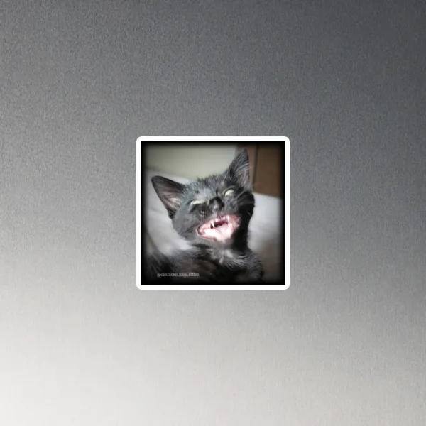 CNK "Evil Laugh 2" Magnet