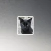 CNK "Deep Gaze" Magnet