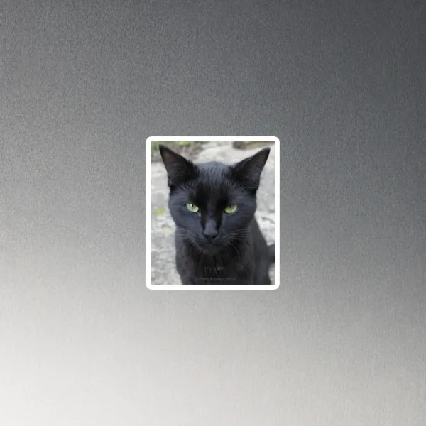 CNK "Deep Gaze" Magnet