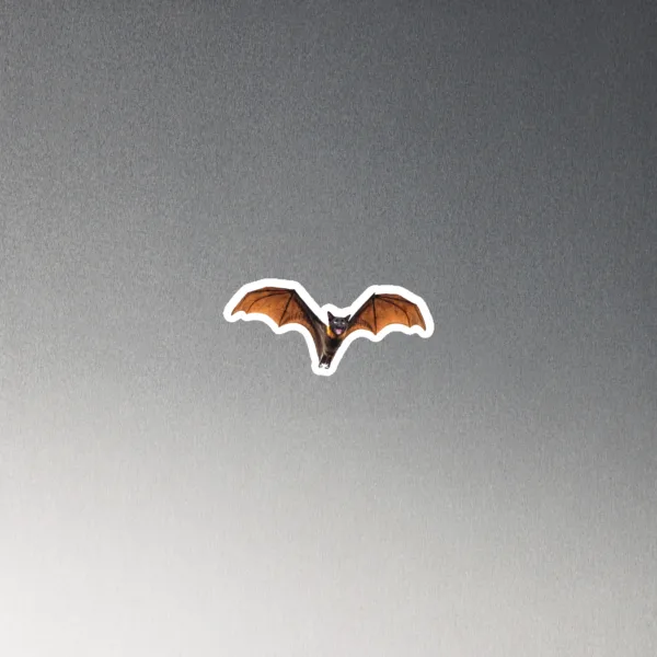 CNK "BatCat" Magnet