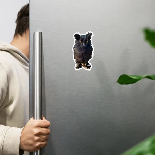die-cut-magnets-white-6x6-front-6601c6b9b496c.jpg CNK "Owl Kitty" Magnet