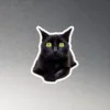 CNK "Square eyes" Magnet