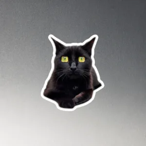 CNK "Square eyes" Magnet