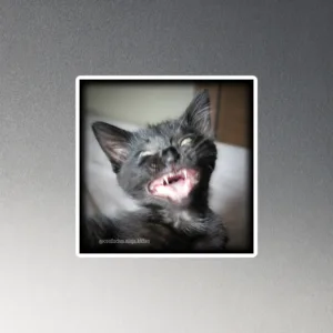 CNK "Evil Laugh 2" Magnet