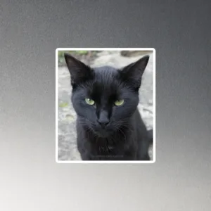 CNK "Deep Gaze" Magnet