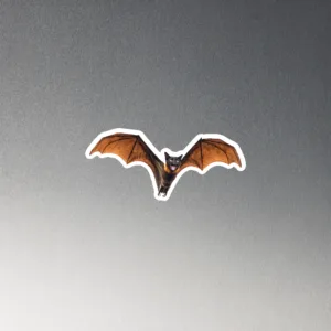 CNK "BatCat" Magnet