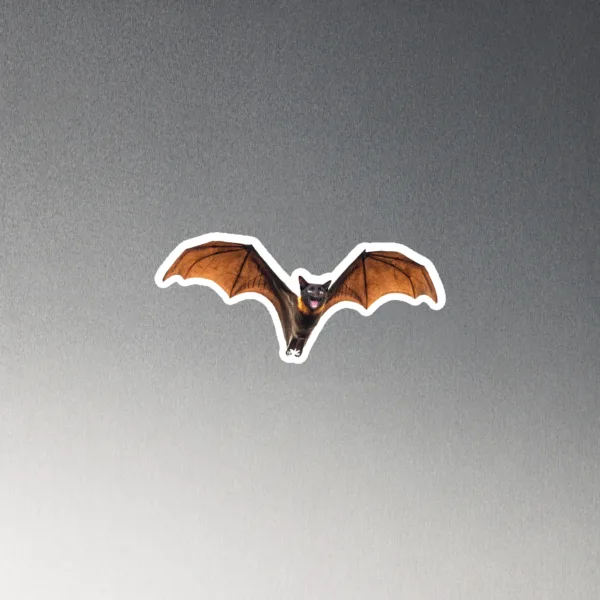 CNK "BatCat" Magnet