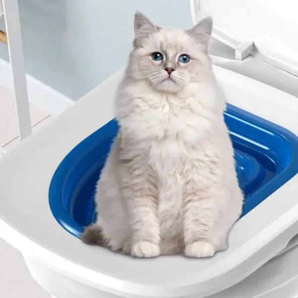 Universal Cat Toilet Training Kit With Any Cat Reusable Cats Dogs Potty Training Seat Pets Cleaning Cats Training Product