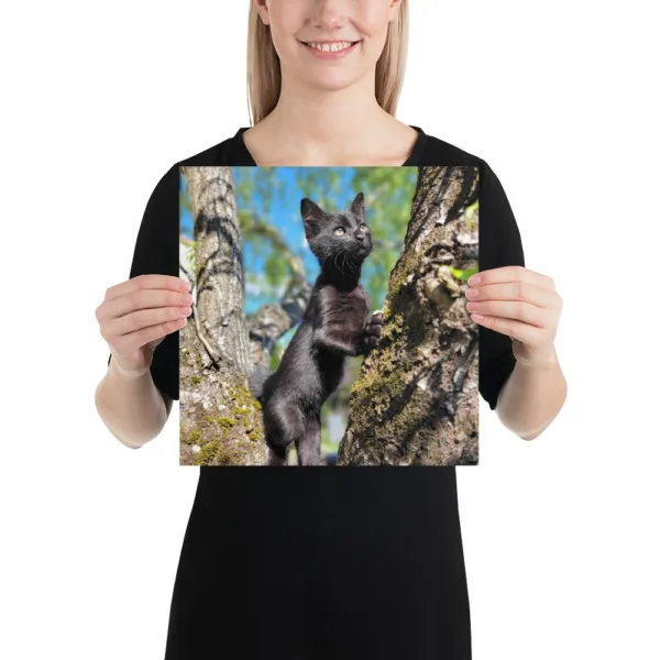 CNK "Adventurer Kitty" Poster