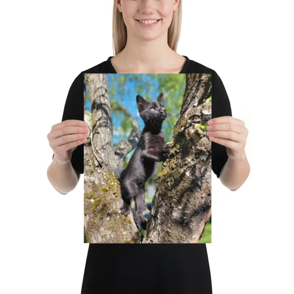 CNK "Adventurer Kitty" Poster