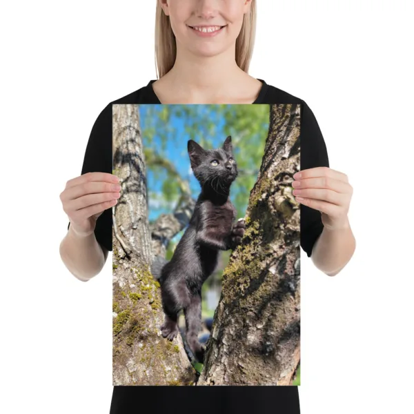 CNK "Adventurer Kitty" Poster