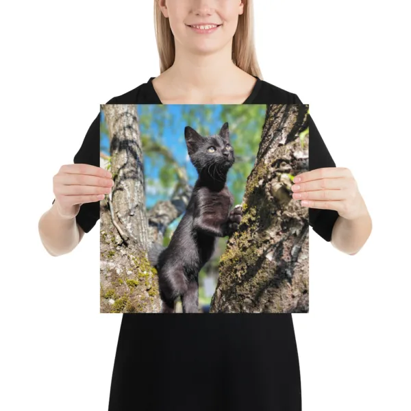CNK "Adventurer Kitty" Poster