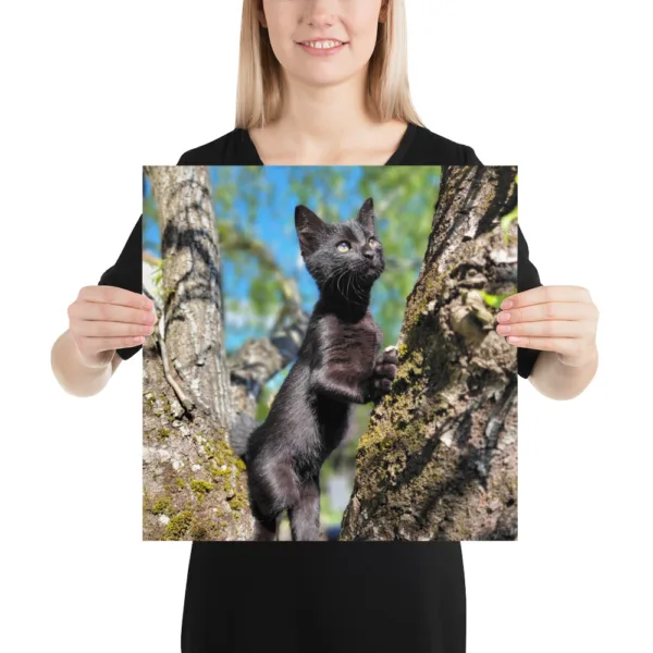CNK "Adventurer Kitty" Poster