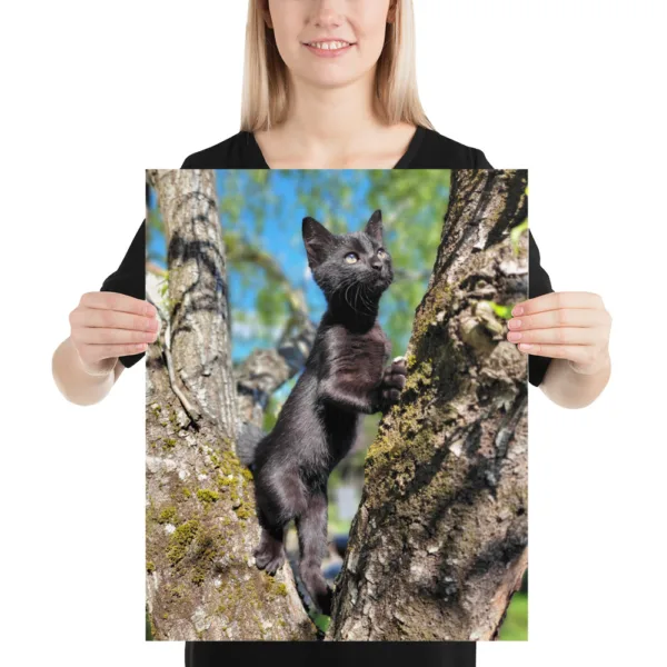 CNK "Adventurer Kitty" Poster