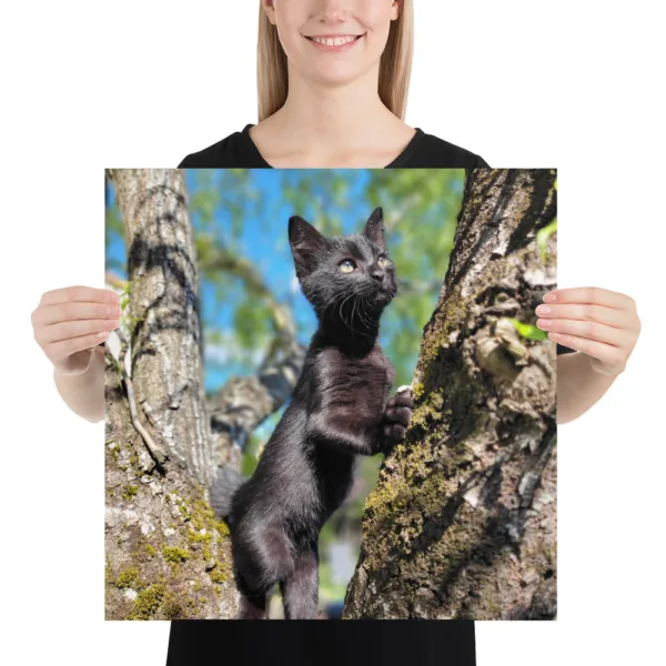 CNK "Adventurer Kitty" Poster