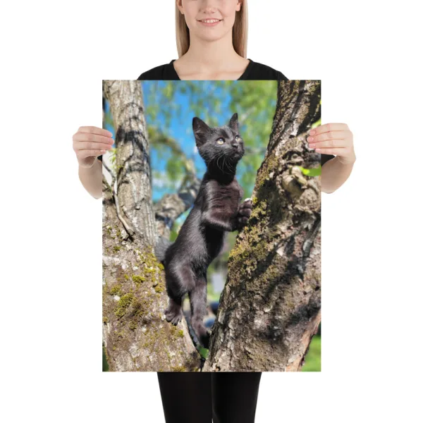 CNK "Adventurer Kitty" Poster