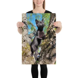 CNK "Adventurer Kitty" Poster