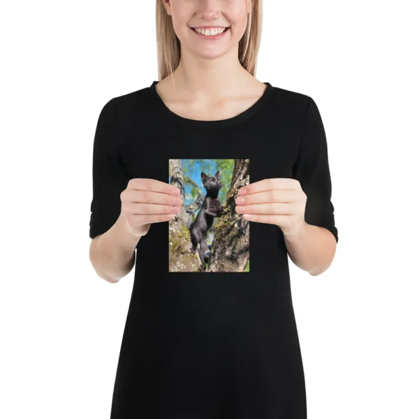 CNK "Adventurer Kitty" Poster